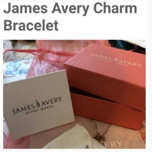 📿🆕James Avery Forged Link Bracelet-NO charms